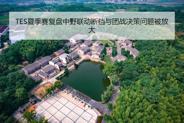 TES夏季赛复盘中野联动断档与团战决策问题被放大 - LEJING.COMapp