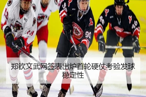 郑钦文武网签表出炉首轮硬仗考验发球稳定性 - LEJING.COMapp